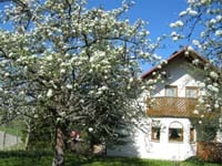 Haus im Frühling